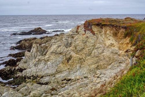 Rocky coast with green and red plants