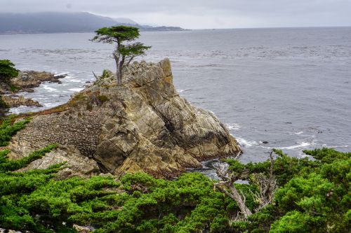 17 Mile Drive