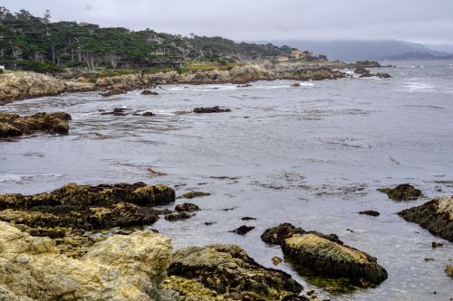 Rocky coast