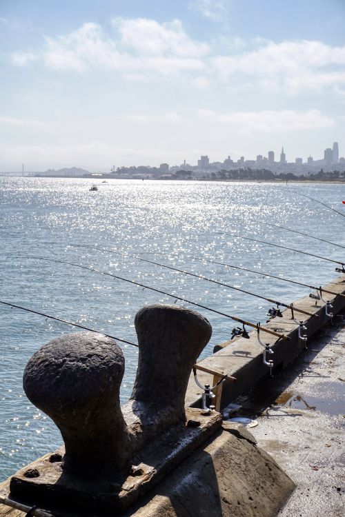 Fishing poles on pier