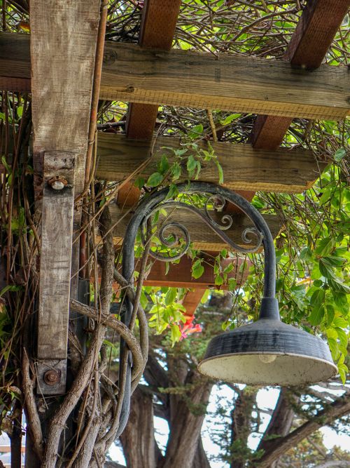Wave St Cafe light